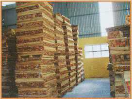 Kiểm tra và đóng gói sản phẩm
